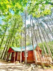 Peaceful Cabin in the woods - Image 2