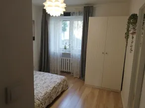 Apartment near the center, parking, peace, comfort - Image 5