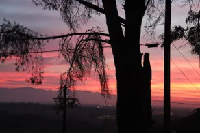 LA Hillside Dream-Amazing Views-Sauna-Tsla Chrgr - Image 5