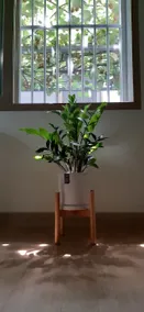 5 minutes from Samsung Hospital, Dasom's House for a comfortable rest and tea aroma - Image 3