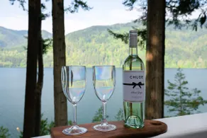 Lake Whatcom Home | Epic Lake Views, Kayaks & AC - Image 2