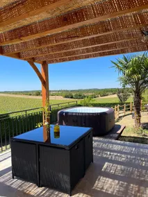 Gîte les 3 Oliviers, quiet, pool and SPA - Image 4