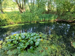 Naturally Fun. Peace, space and relaxation - Image 2