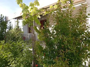 Beautiful Pelion Guesthouse with Spectacular Views - Image 5