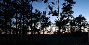 Goose Creek Shore House - Image 3