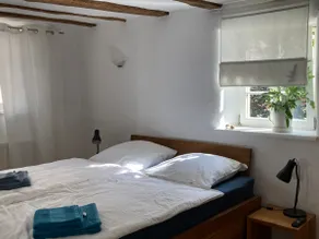 Garden view in the Palatinate Forest - 80 m² with 3 bedrooms & terrace - Image 4