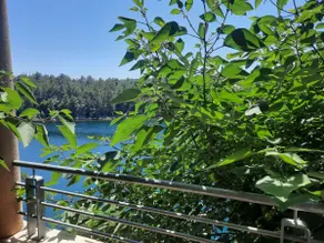 Mystica - charming studio apartment on the beach - Image 2