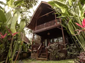 The Jungle Villa - Image 3