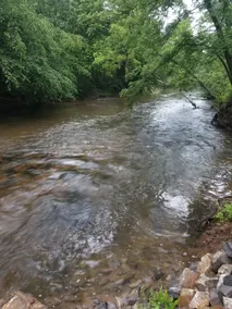 Newer Cabin/Condo-Directly on Toccoa River No Pets - Image 3