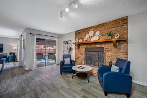 Dunedin Hideaway - Image 5