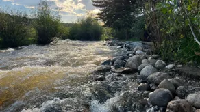 Thorpe On The Water. Creekside Nederland Cabin. - Image 3