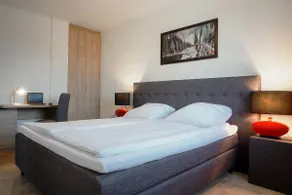 Comfortable Premium Apartment 6 with mountain views - Image 4