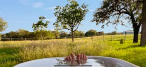Doe Creek Horse Ranch - Image 3