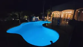 Vegas/Henderson Tropical Oasis - Image 3