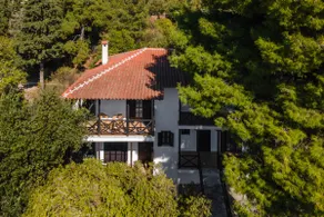 Beachfront Vintage House Kallikratis - Image 3