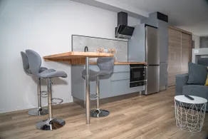 Beautiful loft in Apartamentos Parrillada, Ourense - Image 4