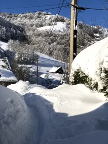 Nice cottage facing the Plomb du Cantal. - Image 3