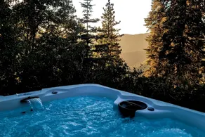 Cubby Cabin / Hot Tub with a View - Image 4