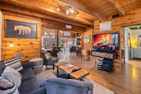 Cubby Cabin / Hot Tub with a View - Image 2