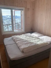 Nice apartment on Haukeli with amazing views. - Image 4