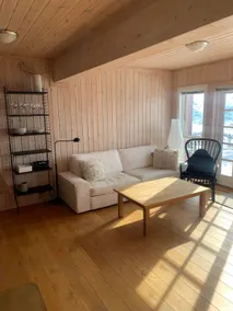 Nice apartment on Haukeli with amazing views. - Image 2