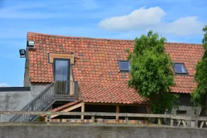 Rural accommodation among horses | Loft - Image 3