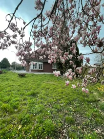Large holiday home North Sea coast up to 10 people & dog - Image 3