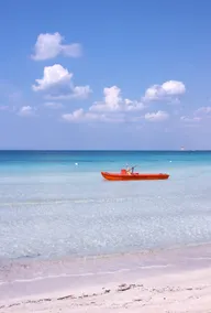 Exclusive villa with large pool (Salento) - Image 3
