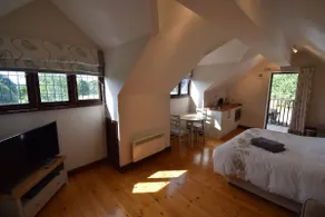 Studio annexe with double bed and kitchenette - Image 5