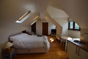 Studio annexe with double bed and kitchenette - Image 3