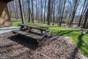 Cabin for 8 in Deep Creek Lake - Image 5