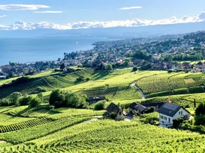 #Lavaux - Image 5
