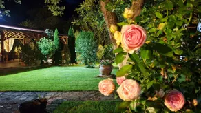 Gardenia Cottage with beautiful garden - Image 5