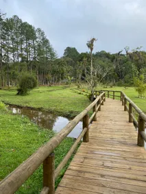Ranch with swimming pool, barbecue area, fireplace and lake - Image 2
