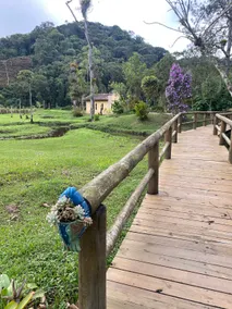 Ranch with swimming pool, barbecue area, fireplace and lake - Image 4