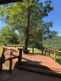 Private, Cozy Log Cabin in Ozark National forest - Image 3