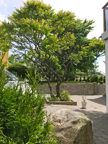 New house 93m2, central, P-free, close to nature - Image 4