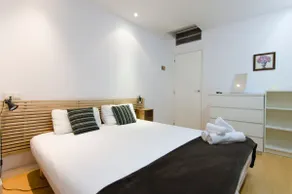 Beautiful flat a stone's throw from the Retiro - Image 3
