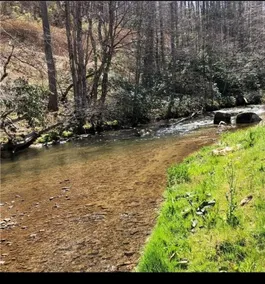 Creek Life Cottage is a place where you can relax and unwind on the creek. - Image 5