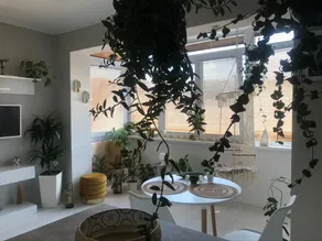 Cosy Urban Jungle Style Apt. in the heart of city - Image 3
