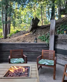 Pet-Friendly Cabin w/ Grills, Decks, Fire Pit & EV - Image 4