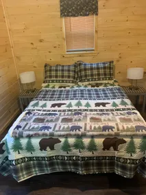 Adorable 2 bedroom, 1 1/2 bath Cozy cabin - Image 5