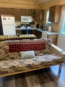 Adorable 2 bedroom, 1 1/2 bath Cozy cabin - Image 3