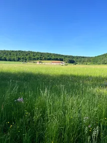 Aujon Valley Cottages (4 and 6 people) - Image 3
