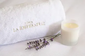 Villa Suite in the Finca La Emperatriz vineyard - Image 5