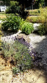LIVING .... Bungalow with large garden. - Image 3