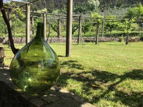 Tuscany Charme Coselli Restored - Image 3