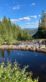 Cozy cabin by the fishing lake - Image 5