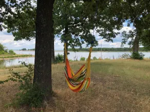 Entire lake house at Lake Fork with private bay, boat ramp, fishing light & 8 acres land - Image 4