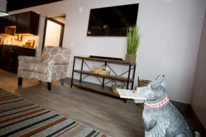 Modern, Comfort, Quiet / Extended Stay Welcome 301 - Image 5